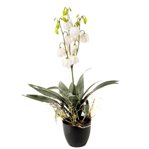 YUCCA 73CM FIORITA CVASO